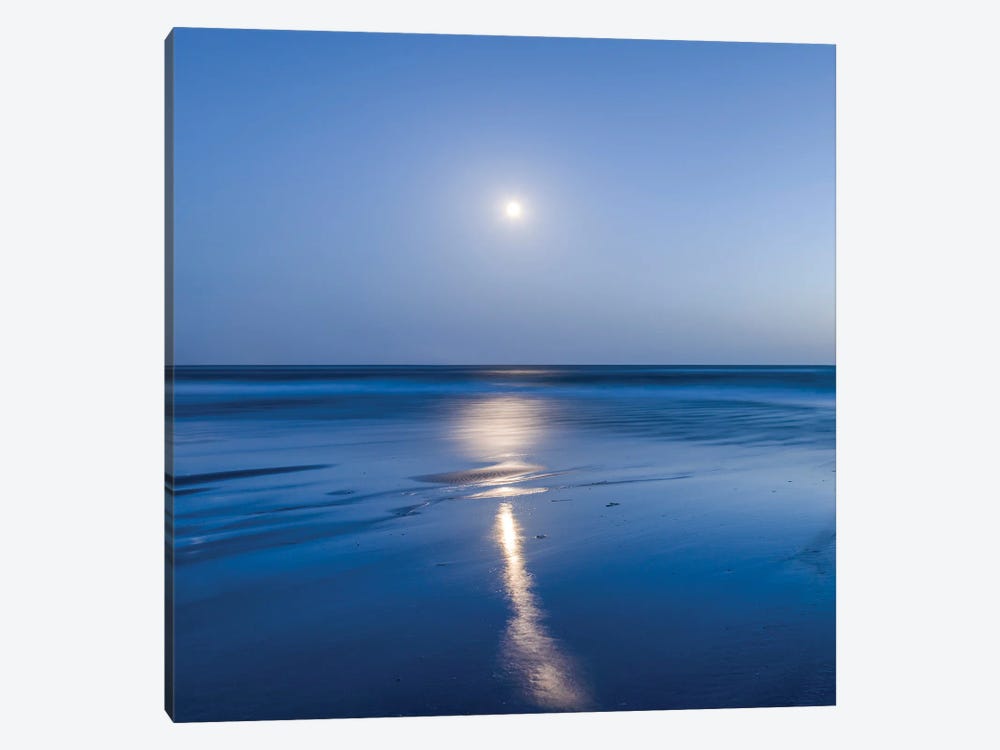 Wadden Sea Full Moon, North Sea Coast, Germany by Jan Becke 1-piece Canvas Art
