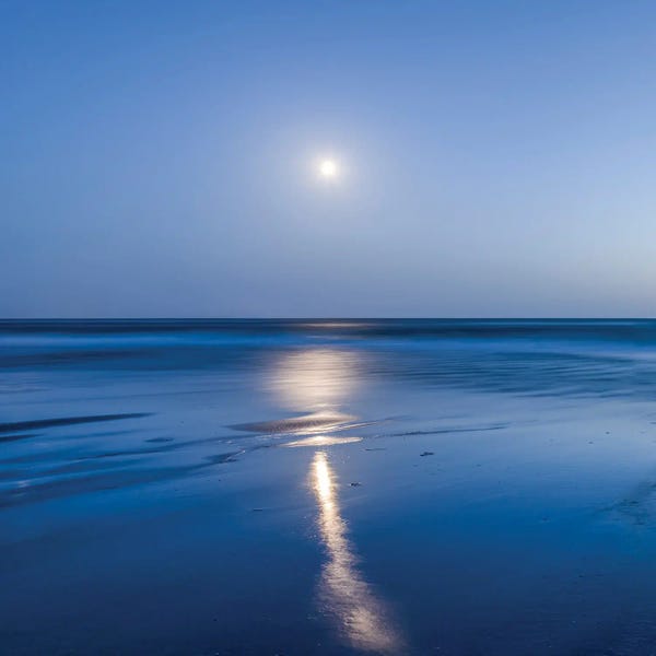 Beach Sunrises & Sunsets: Wadden Sea Full Moon, North Sea Coast, Germany by Jan Becke