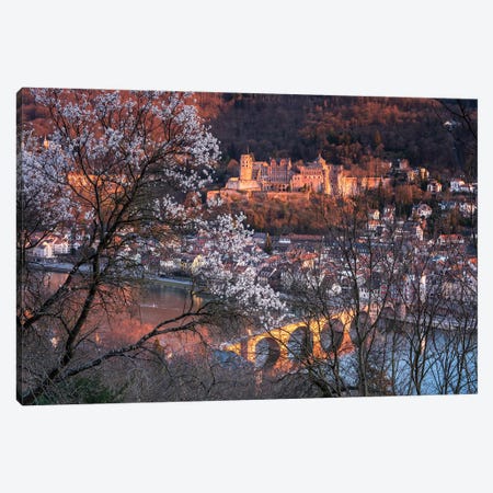 Heidelberg Castle And Old Bridge In Spring Canvas Print #JNB2028} by Jan Becke Canvas Artwork