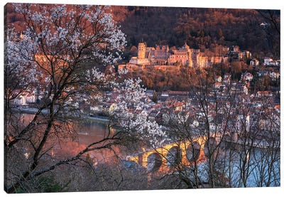 Heidelberg Castle And Old Bridge In Spring Canvas Art Print