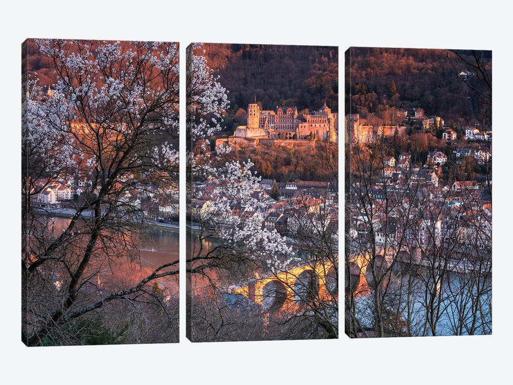 Heidelberg Castle And Old Bridge In Spring by Jan Becke 3-piece Canvas Artwork
