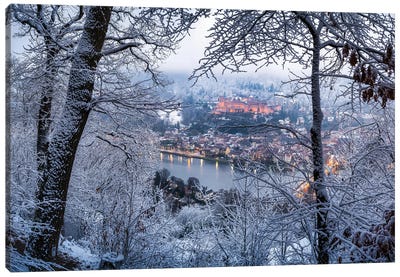 Heidelberg Castle And Forest Of Odes In Winter Canvas Art Print
