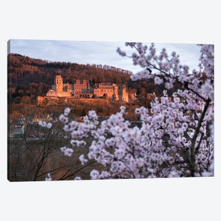 Heidelberg Castle In Spring, Baden-Wuerttemberg, Germany Canvas Print #JNB2037} by Jan Becke Canvas Art