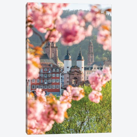 Heidelberg Alte Brücke (Old Bridge) In Spring Canvas Print #JNB2051} by Jan Becke Art Print
