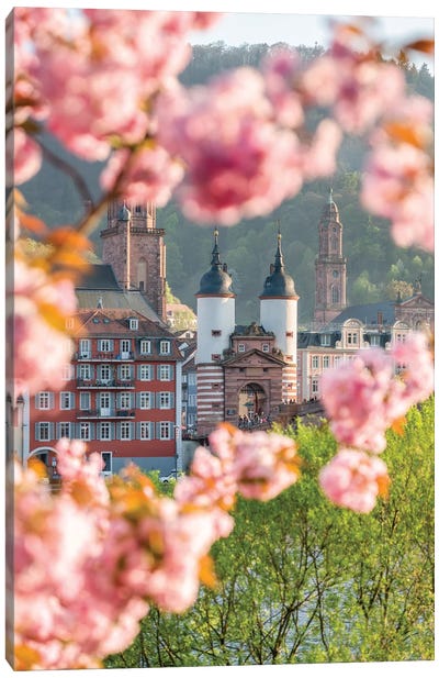 Heidelberg Alte Brücke (Old Bridge) In Spring Canvas Art Print - Castle & Palace Art