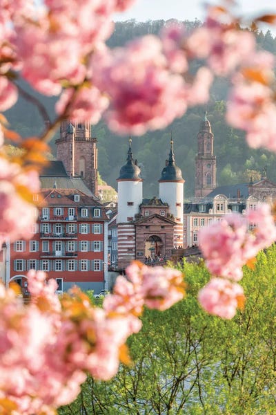 Castles & Palaces: Heidelberg Alte Brücke (Old Bridge) In Spring by Jan Becke