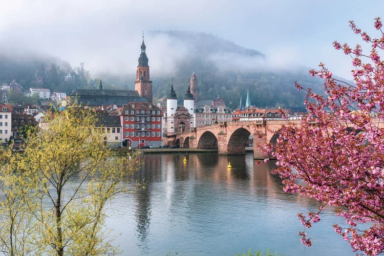 Karl Theodor Bridge (Old Bridge) Over The Neckar River With View Of The Alstadt