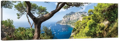 Capri Island Panorama In Summer, Gulf Of Naples, Italy Canvas Art Print - Naples