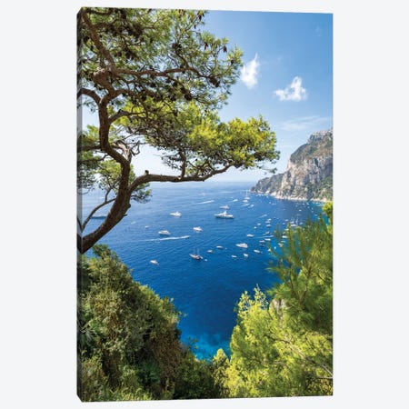 Summer Vacation On The Island Of Capri, Gulf Of Naples, Campania, Italy Canvas Print #JNB2068} by Jan Becke Canvas Artwork