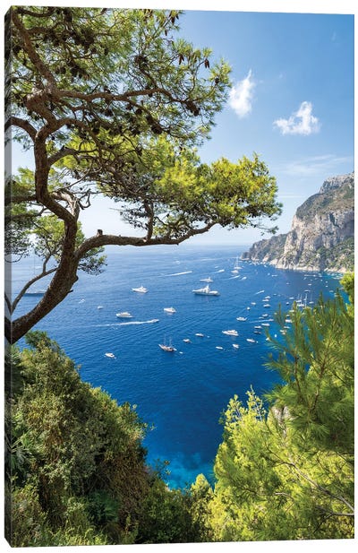 Summer Vacation On The Island Of Capri, Gulf Of Naples, Campania, Italy Canvas Art Print - Campania Art