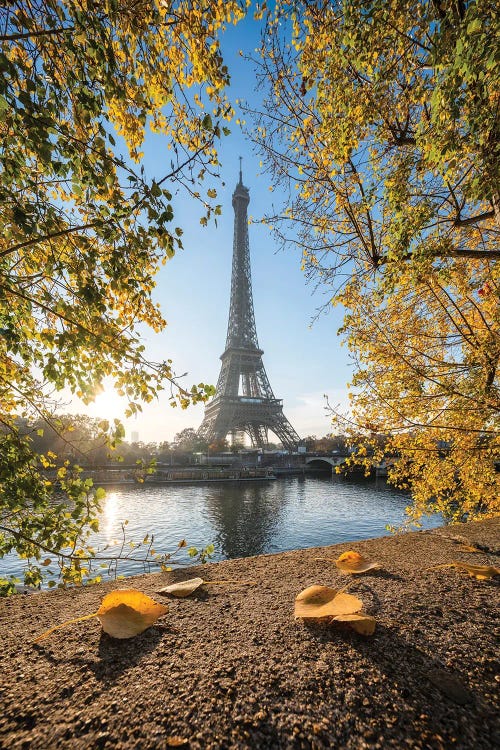 Eiffel Tower In Autumn Season Paris, France