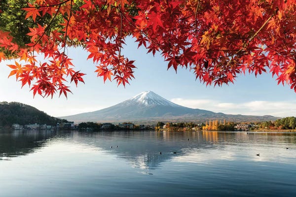 Mt.Fuji: Autumn Leaves With Mount Fuji At Lake Kawaguchiko by Jan Becke