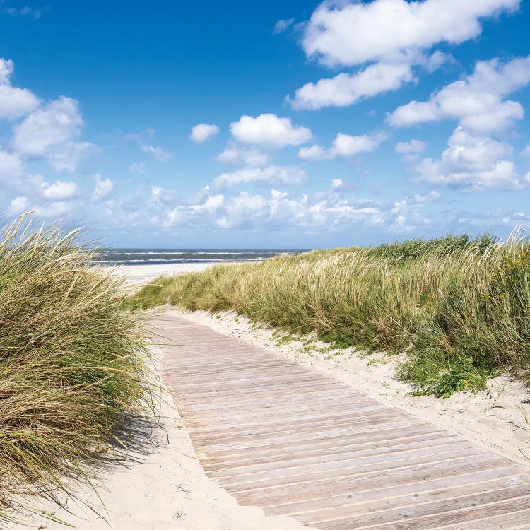 Wooden Boardwalk Along The Dune Beach North Sea Coast Germany