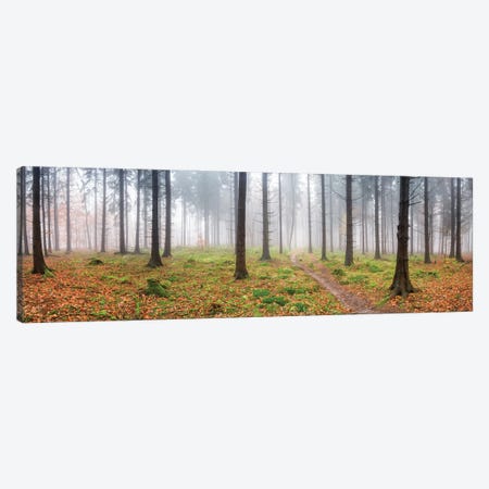Forest Landscape Panorama In Autumn Canvas Print #JNB2109} by Jan Becke Canvas Art Print