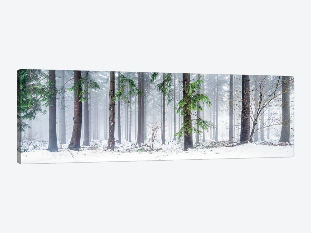 Forest Landscape Panorama In Winter by Jan Becke 1-piece Canvas Wall Art
