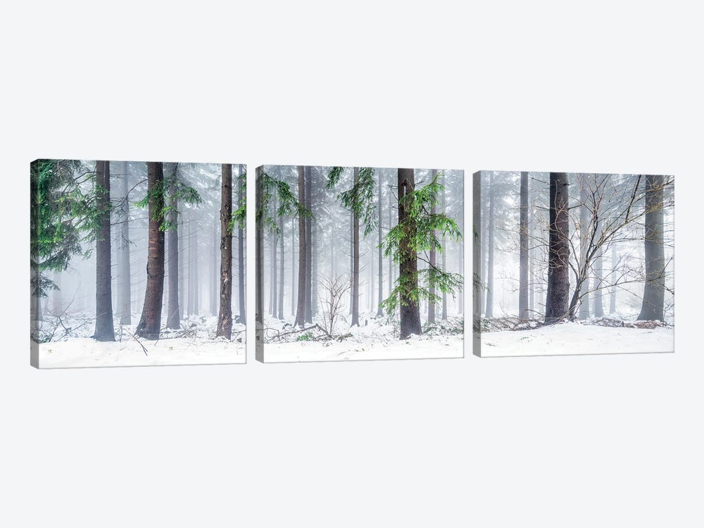 Forest Landscape Panorama In Winter by Jan Becke 3-piece Canvas Artwork