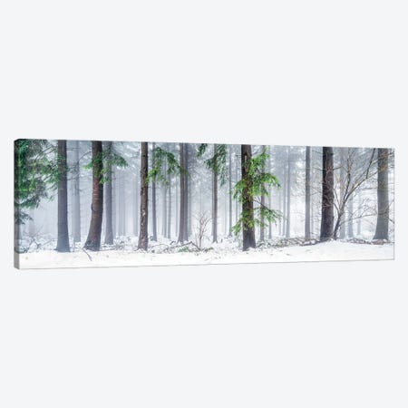 Forest Landscape Panorama In Winter Canvas Print #JNB2110} by Jan Becke Canvas Artwork