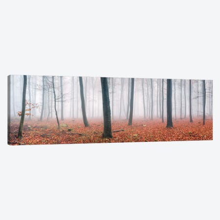Forest Panorama On A Foggy Autumn Morning Canvas Print #JNB2111} by Jan Becke Canvas Art