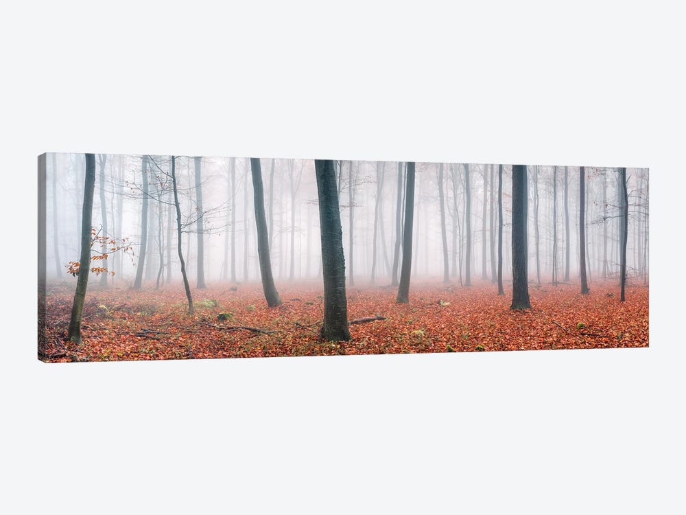 Forest Panorama On A Foggy Autumn Morning by Jan Becke 1-piece Canvas Art Print