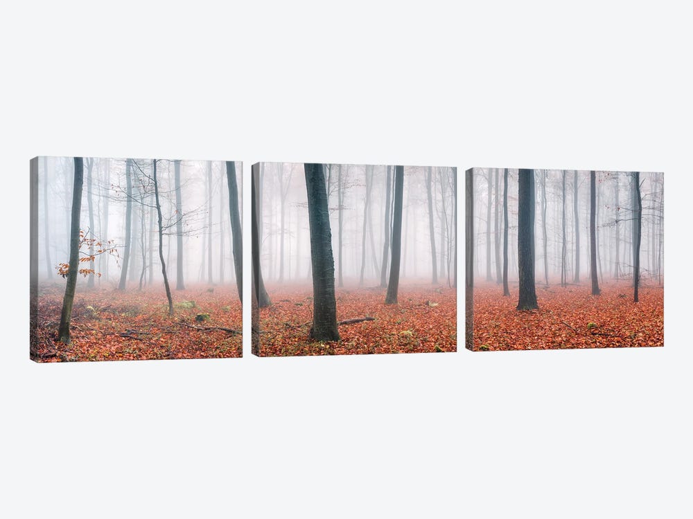 Forest Panorama On A Foggy Autumn Morning by Jan Becke 3-piece Canvas Art Print