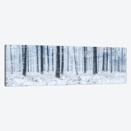 Winter Forest Landscape Panorama Canvas Print #JNB2112} by Jan Becke Canvas Wall Art