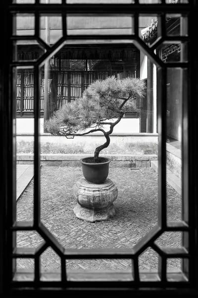 Bonsai Tree At A Classical Chinese Garden by Jan Becke gallery poster