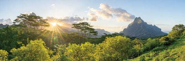 Mo'orea: Sunset View Of Mount Rotui From The Belvedere Lookout, Moorea Island, French Polynesia by Jan Becke
