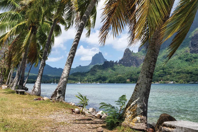 Opunohu Bay And Mount Mou'a Roa On Moorea Island, French Polynesia