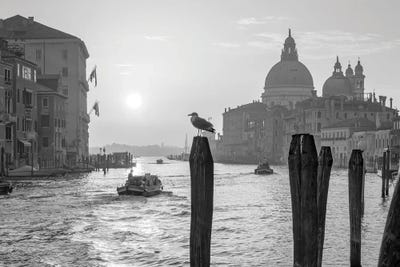 Sunrise At The Canal Grande In Black And White, Venice, Italy by Jan Becke framed canvas print