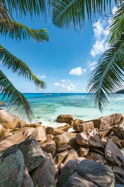 Layered Landscapes: Rock Formations With Palm Trees, Anse Lazio, Praslin Island, Seychelles by Jan Becke