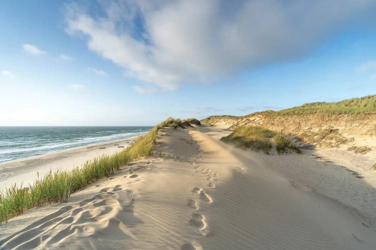 Sand Dunes Along The Coast