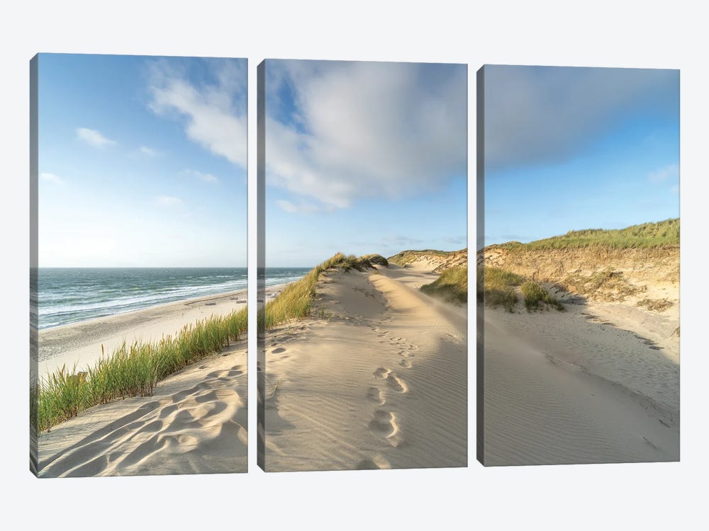 Sand Dunes Along The Coast by Jan Becke 3-piece Canvas Artwork