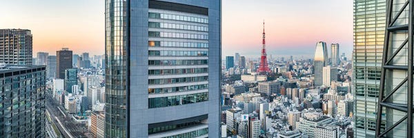 Tokyo: Tokyo Skyline Panorama With Tokyo Tower And Modern Office Buildings by Jan Becke