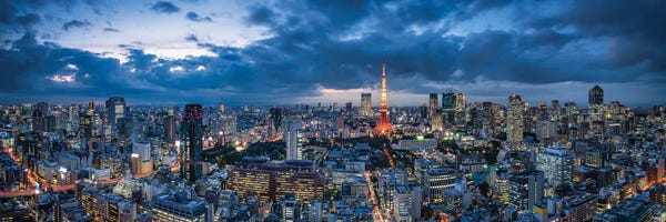 Tokyo: Tokyo Skyline Panorama At Night With View Of Tokyo Tower by Jan Becke