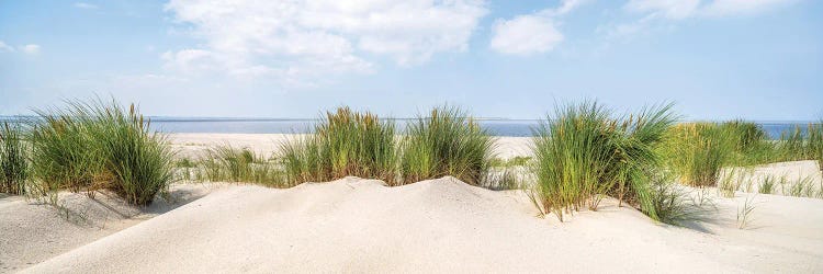 Dune Beach Panorama In Summer