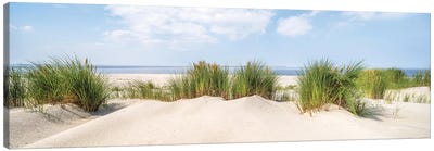 Dune Beach Panorama In Summer Canvas Art Print