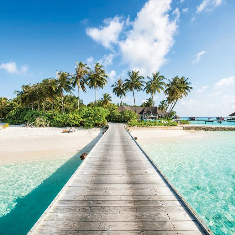 Wooden Jetty To A Tropical Island, Maldives