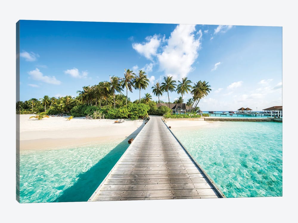 Tropical Island With Palm Trees, Maldives by Jan Becke 1-piece Canvas Artwork