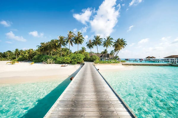 Beach Lover: Tropical Island With Palm Trees, Maldives by Jan Becke
