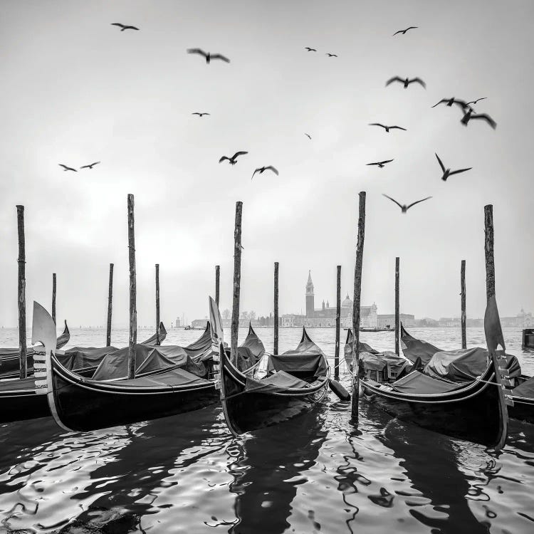 Gondolas In Front Of San Giorgio Maggiore Island, Venice, Italy