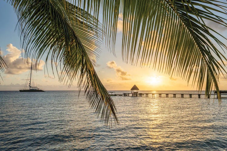 Sunset On A Tropical Island In The South Seas, French Polynesia