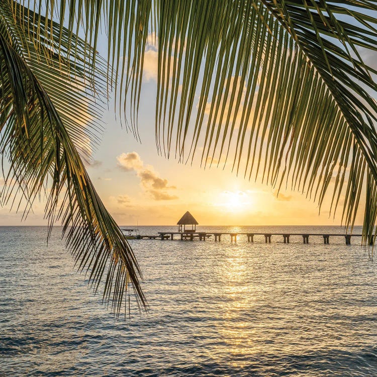 Sunset View On A Tropical Island In The South Seas, French Polynesia