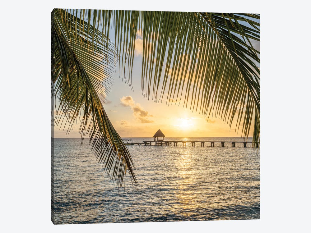 Sunset View On A Tropical Island In The South Seas, French Polynesia by Jan Becke 1-piece Canvas Artwork