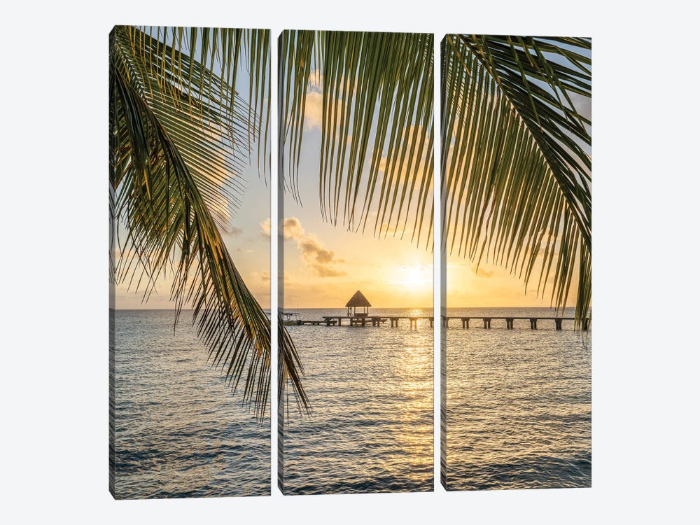 Sunset View On A Tropical Island In The South Seas, French Polynesia by Jan Becke 3-piece Canvas Artwork