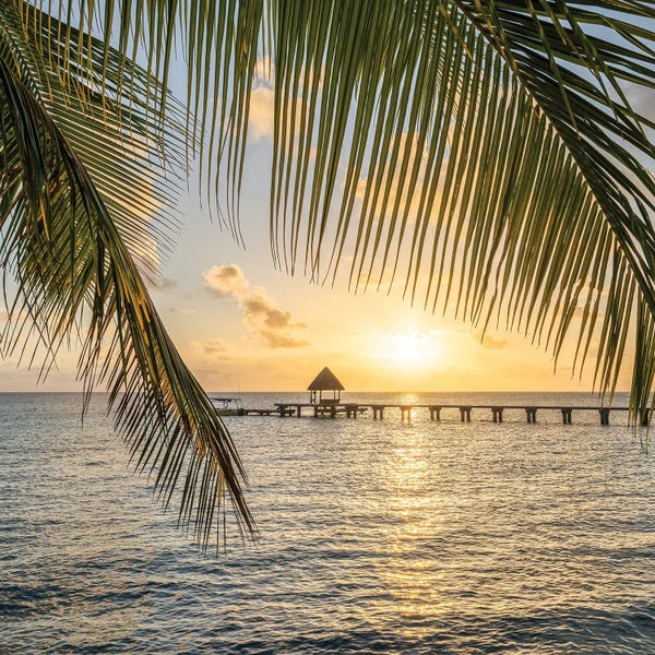 Oceania: Sunset View On A Tropical Island In The South Seas, French Polynesia by Jan Becke