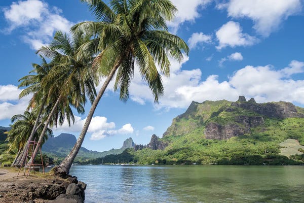 Tropical Beaches: Opunohu Bay On Moorea Island, French Polynesia by Jan Becke