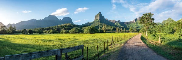 Mo'orea: Panoramic View Of Mount Tohivea At Sunrise, Moorea Island, French Polynesia by Jan Becke