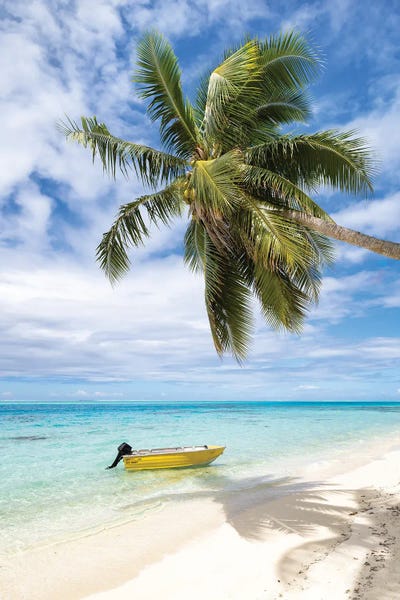Society Islands: Tropical Beach With Palm Tree And Boat, Bora Bora, French Polynesia by Jan Becke
