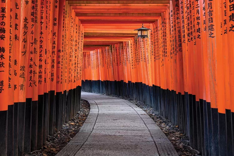 Red Torii Gates Of The Fushimi Inari Shrine In Kyoto, Japan