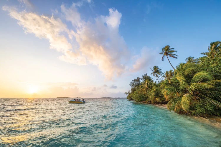 Sunset On A Tropical Island In The Maldives